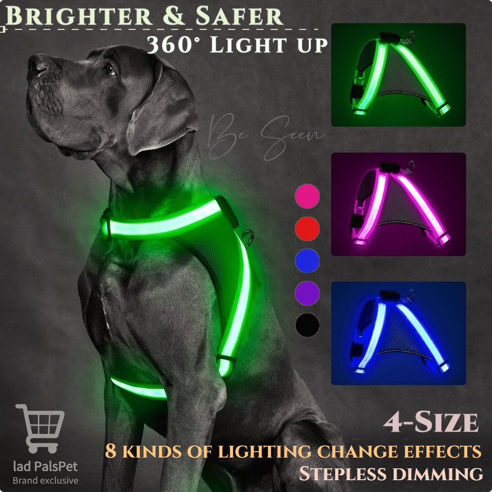 LED Dog Vest with 8 Lighting Modes, Rechargeable Mesh Light Up Walking Vest with Reflective Design and Changeable Color, XS to L
