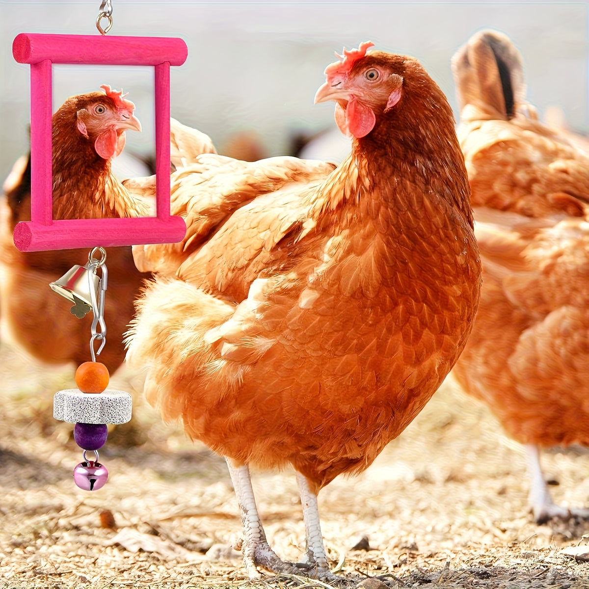Chicken Toys for Coop Enrichment, Random 1, 3 or 6 Piece Options for Hens and Roosters, Poultry Run Accessories for Supervised Backyard Bird Play