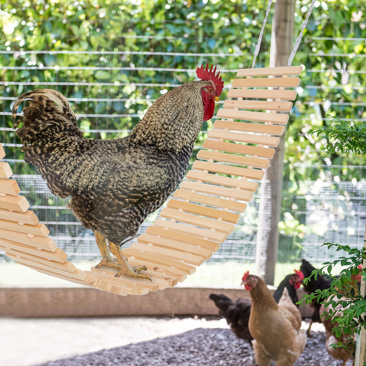 Chicken Ladder Swing and Perch Toy, Natural Wooden Coop Accessory for Hens, Roosters and Chicks, Backyard Poultry Climbing and Perching