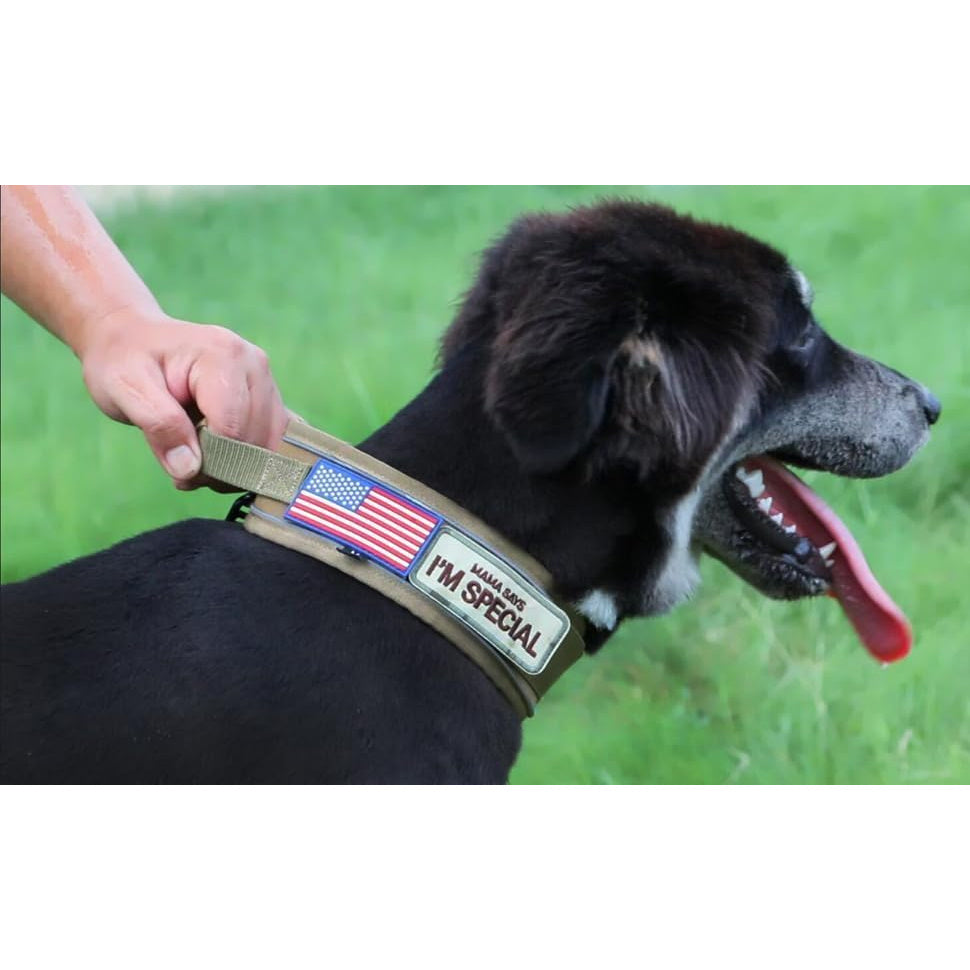 Tactical Dog Collar 2.6 Inch Wide with Padded Control Handle, Reflective Adjustable Nylon and Mesh Collar with Metal Buckle and 2 Patches, M L XL