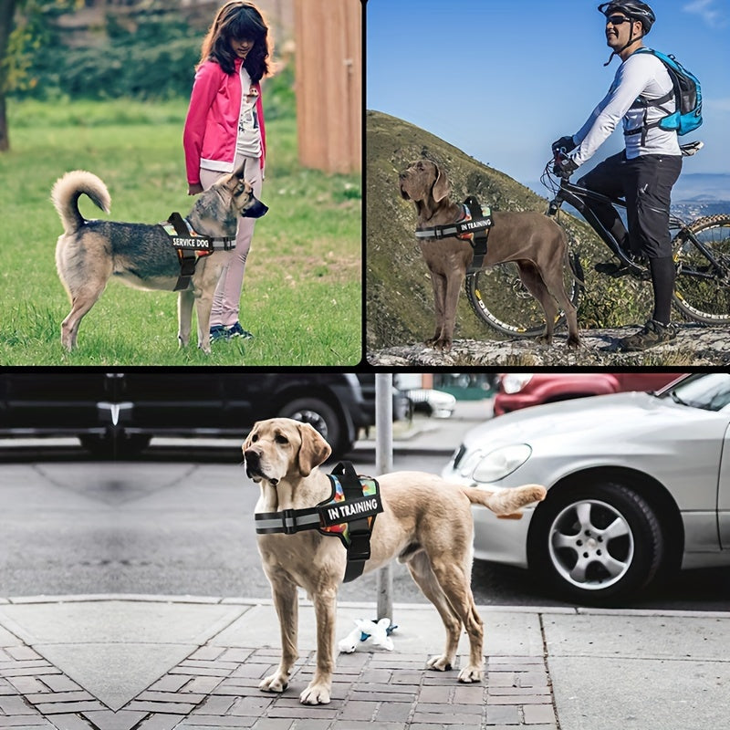 No-Pull Dog Walking Harness, Reflective Adjustable Everyday Training Gear for Small, Medium and Large Dogs in 11 Colors, XS to XXL