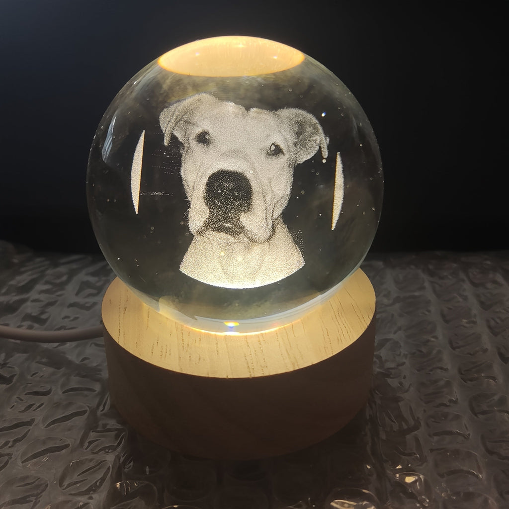 Personalized Pet Photo Crystal Ball with Laser Engraving, Custom Name and Date Keepsake with Warm Base for Dog and Cat Lover Gifts