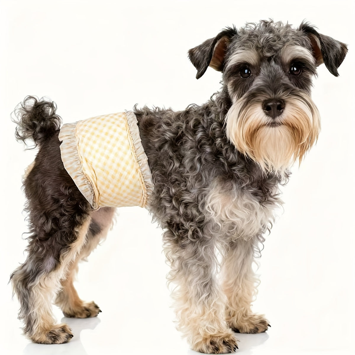 Disposable Dog Diapers 12 Pack with Adjustable Fasteners, Absorbent Male and Female S or M Options for Puppy Training, Senior Dog Accidents and Travel