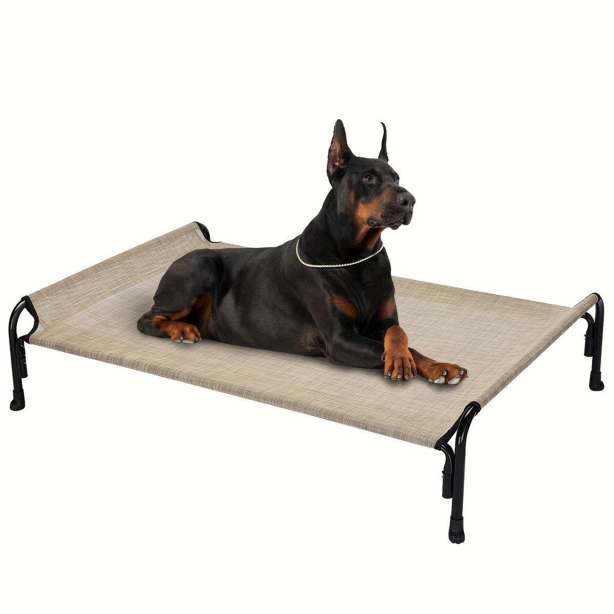 Elevated Dog Bed with Sloped Headrest, Breathable Raised Pet Cot in M to XXL Sizes for Indoor Lounging, Outdoor Rest and Camping
