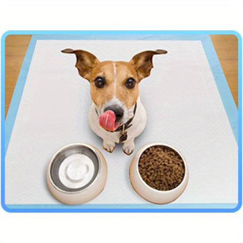 Disposable Dog Pee Pads for Potty Training, 30 x 36 Inch 60 Count or 31 x 47 Inch 40 Count, Extra Large Absorbent Puppy Pads for Home and Crate Use