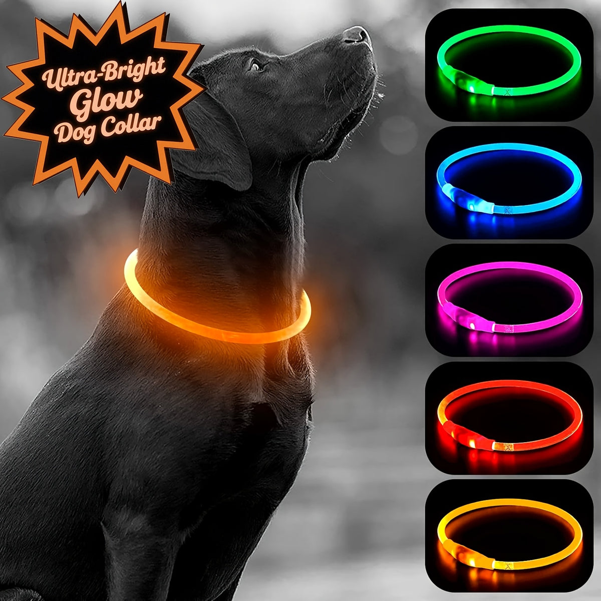 Rechargeable LED Dog Collar with Cut-to-Fit Glow Tube, 3-Mode Light Up Neck Ring for Night Walking and Running, Single and Multi-Pack Color Options