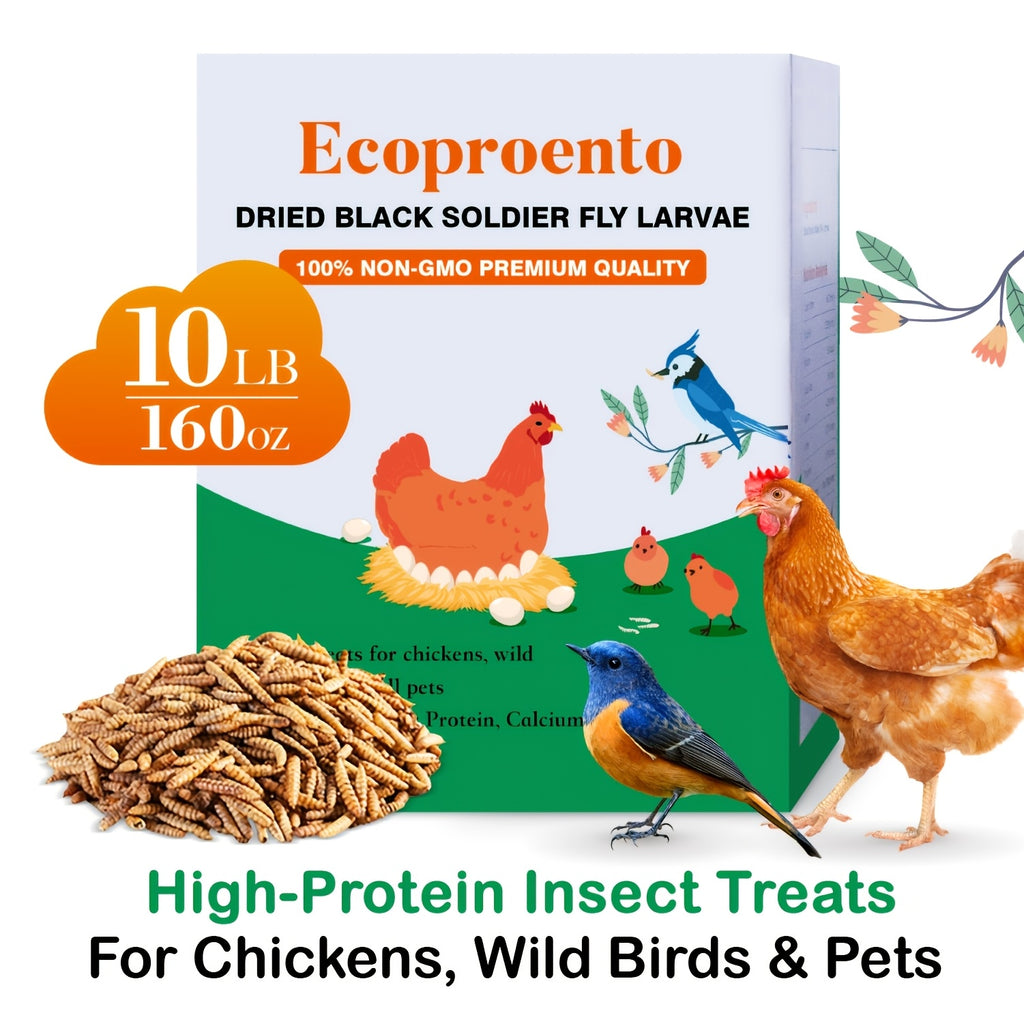 Black Soldier Fly Grubs 10 lb, Dried Larvae Chicken Treats for Backyard Flocks, Ducks and Wild Birds, Bulk Insect Snacks for Foraging Routines
