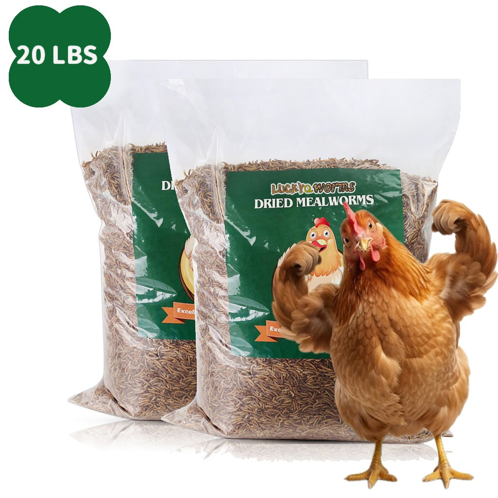 Dried Mealworms for Chickens and Wild Birds, Insect Treats for Backyard Feeding and Foraging Routines with Small and Bulk Weight Options