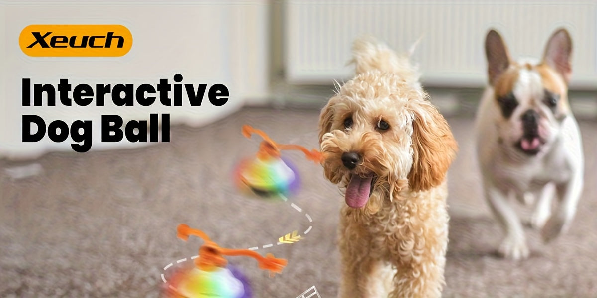 Automatic Rolling Dog Ball with Voice Recording and Rope, Interactive Moving Puppy Toy for Small and Medium Dogs, Supervised Chase Play