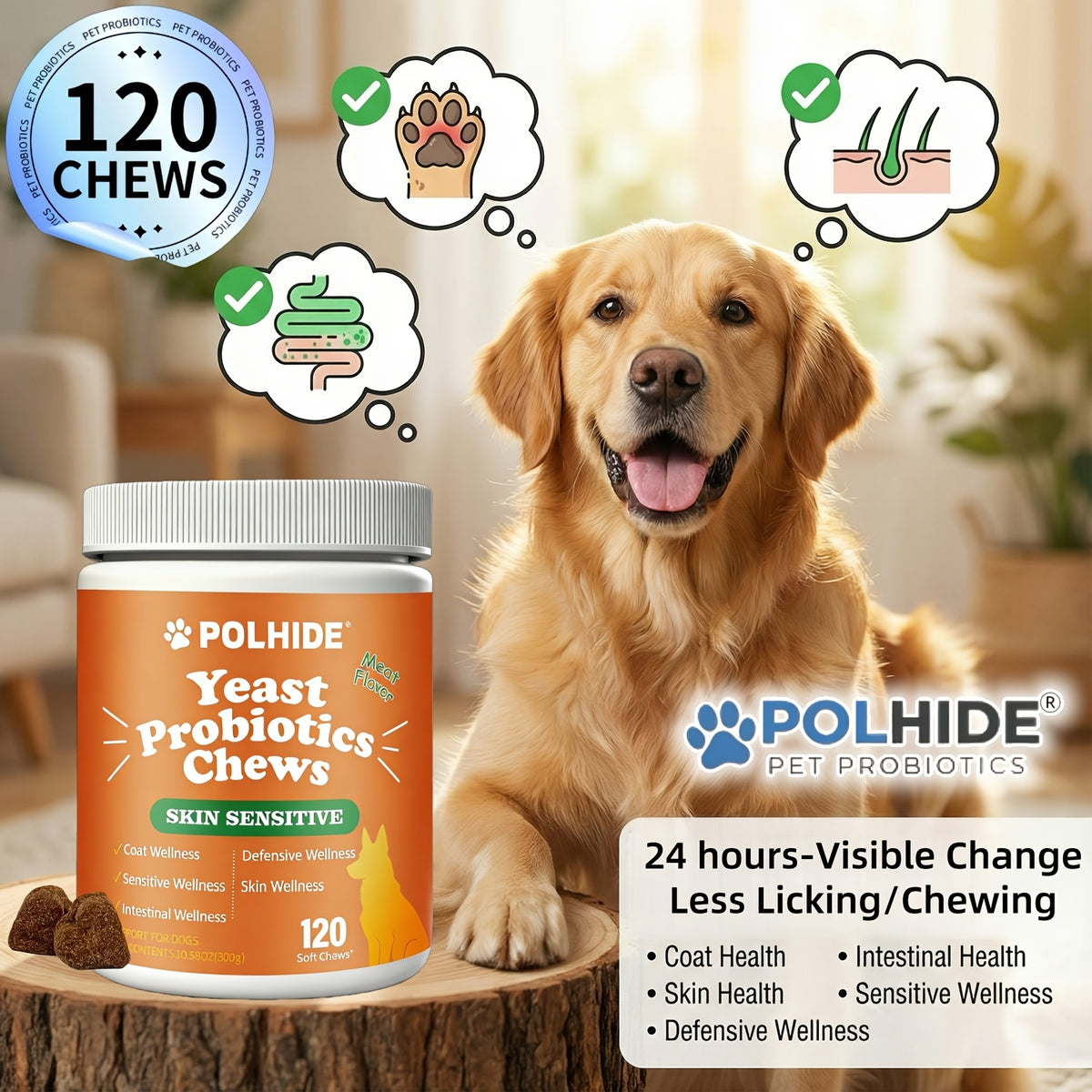 Meat Flavor Dog Probiotic Soft Chews, 120 Count Yeast Probiotic Supplement with Coat and Intestinal Care Labeling for Canine Wellness Routines