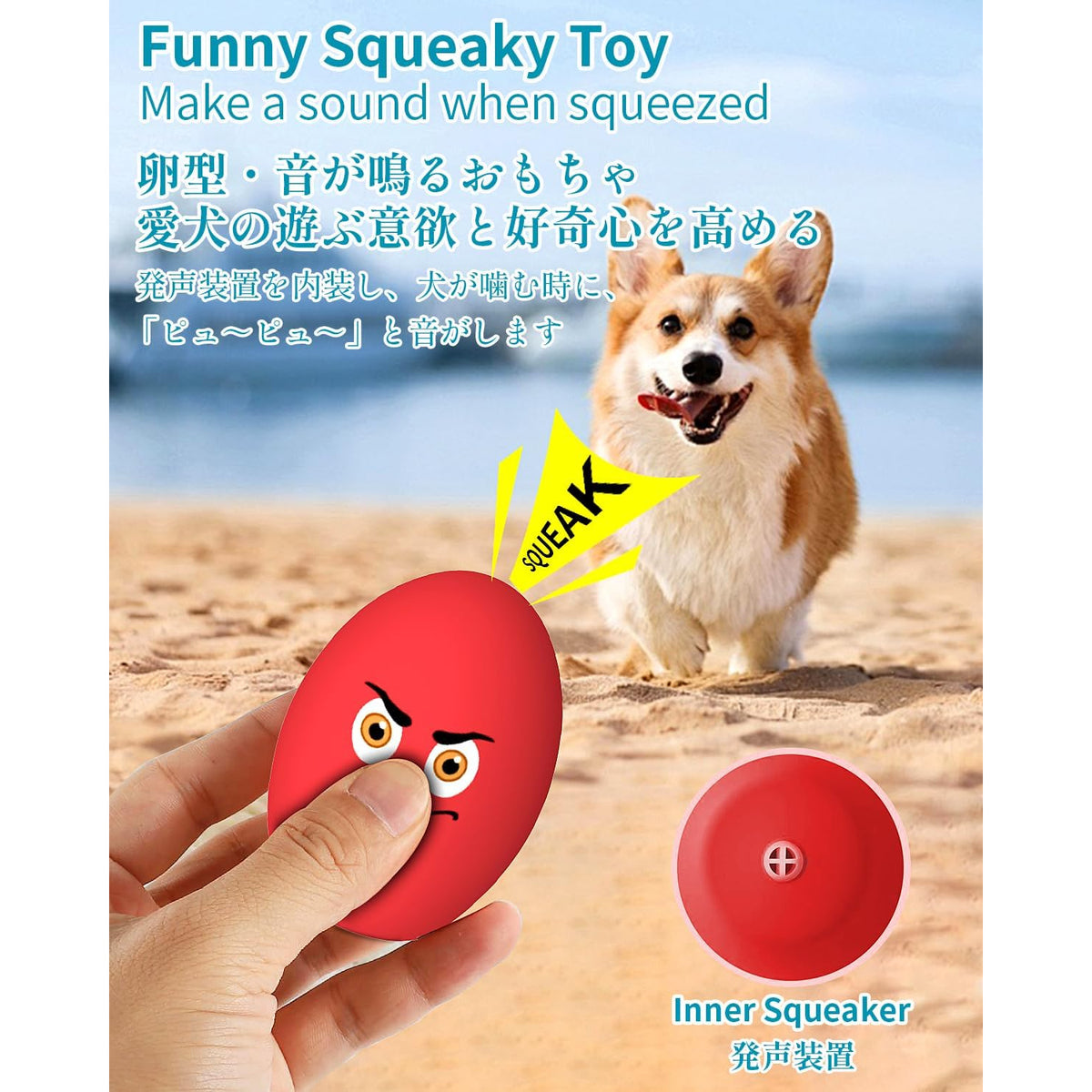 Squeaky Egg Dog Balls 10 Pack for Puppies and Small Dogs, Bouncy Oval Fetch Toys That Float for Supervised Chase and Water Play, No Batteries Needed