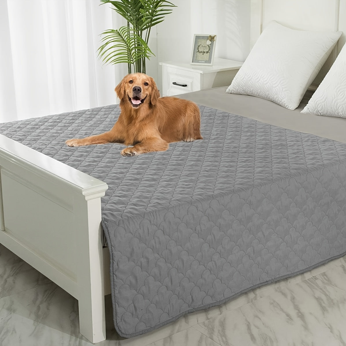 Washable Dog Blanket for Couch and Bed, Reversible Reusable Pet Furniture Protector for Puppies, Large Dogs and Cats, Single Pack
