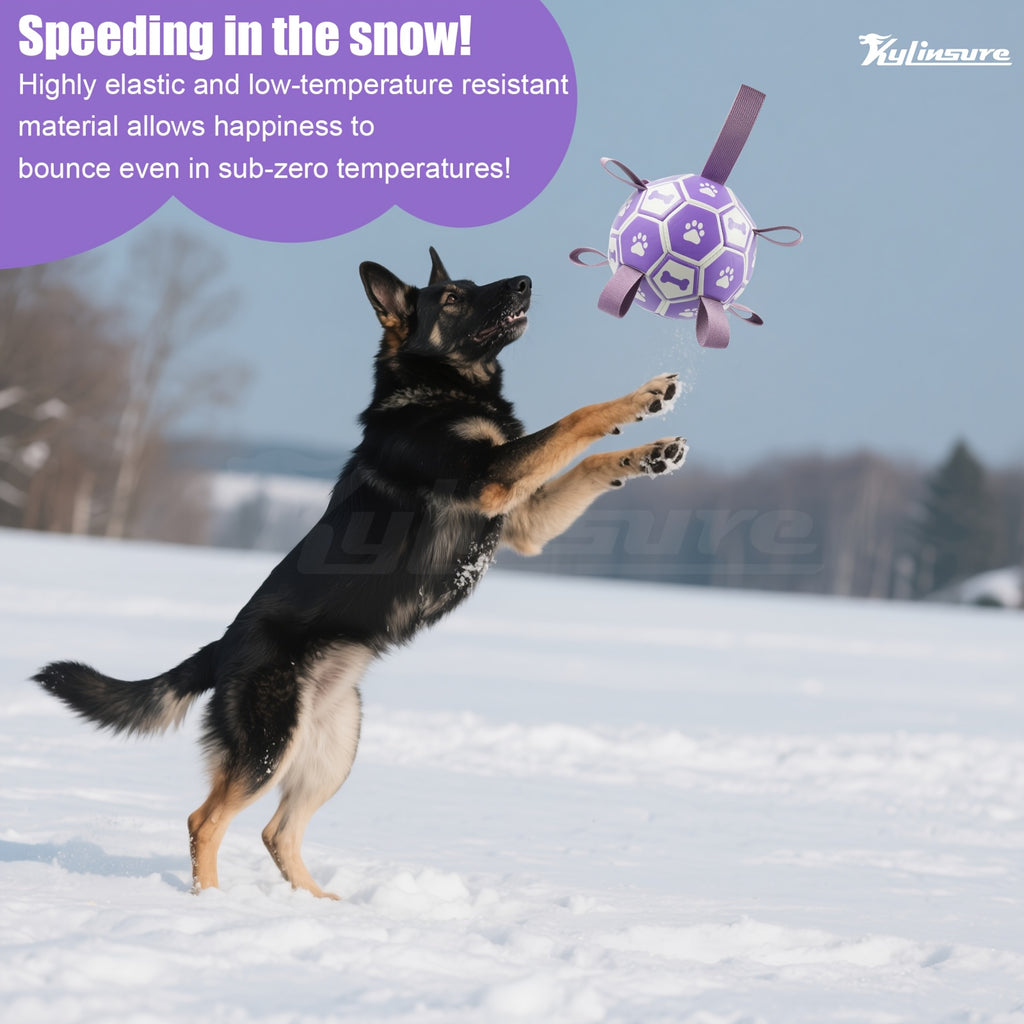 Dog Fetch Ball with Grab Straps, Purple and Gray Paw and Bone Soccer-Style Toy with Pump for Supervised Tug Games, Outdoor Play and Dog Birthday Gifts