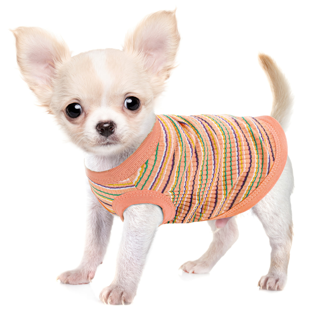 Striped Dog Tank Top with Soft Ribbed Fabric, Sleeveless Pullover Pet Vest for Small Dogs, Six Colors and XS–XXL Size Options, Hand Wash Only