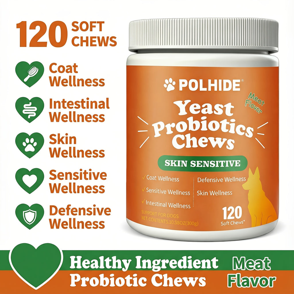 Meat Flavor Dog Probiotic Soft Chews, 120 Count Yeast Probiotic Supplement with Coat and Intestinal Care Labeling for Canine Wellness Routines