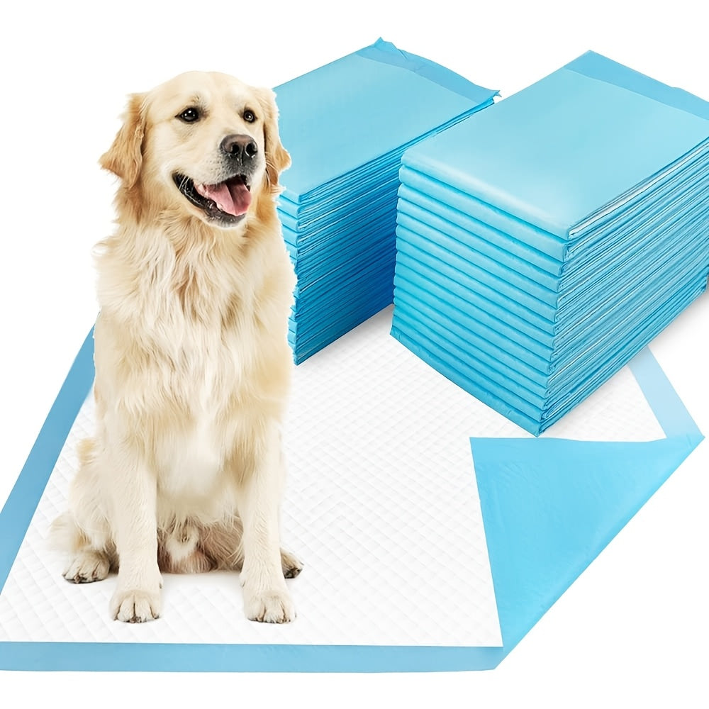 Extra Large Dog Pee Pads 32 x 47 Inches, 40 Count Six-Layer Disposable Puppy Training Pads with Soft Nonwoven Surface for Indoor Potty Care