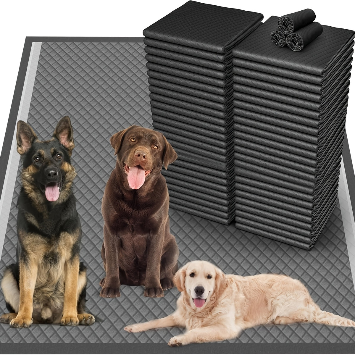 Dog Pee Pads for Large Breeds and Senior Dogs, Absorbent Leak-Resistant Puppy Potty Training Pads in Multiple Sizes, 39 to 119 Count Options