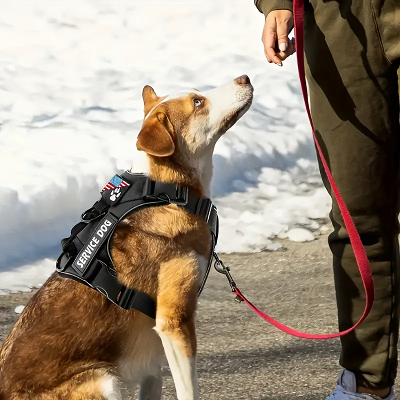 Service Dog Harness with 5 Removable Patches, Reflective Adjustable Soft Oxford Dog Vest with Inner Mesh Layer and ID System for Small Medium Large Dogs, Public Access and Mobility Aid Vest for Walking