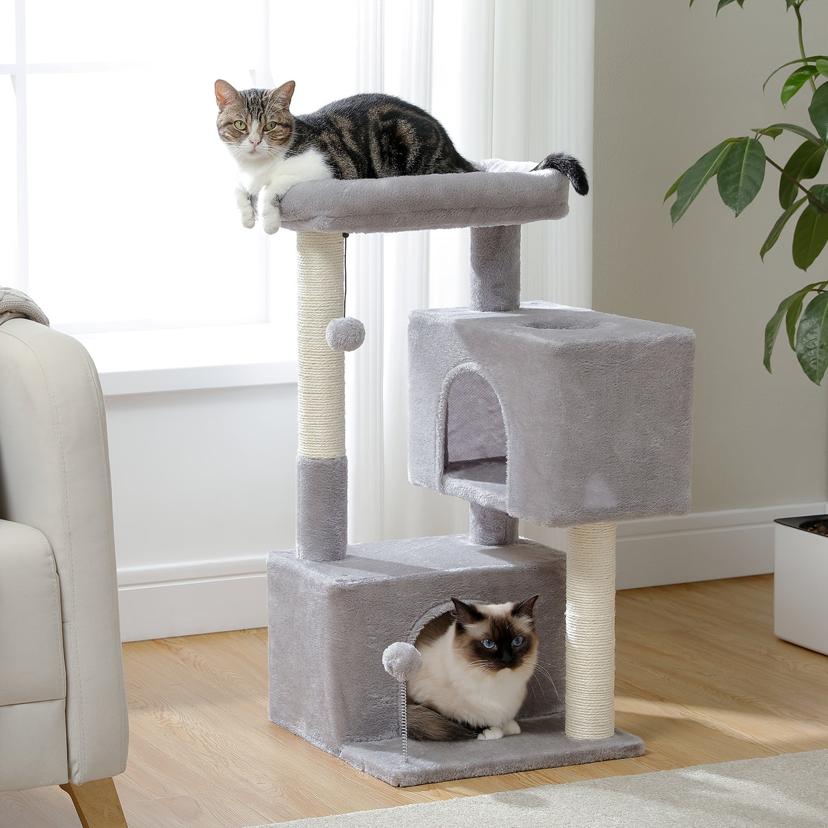 Cat Tree with Two Spacious Condos, 31.5 or 44 Inch Indoor Cat Tower with Washable Top Perch, 3.4 Inch Thick Scratching Posts and Two Play Toys