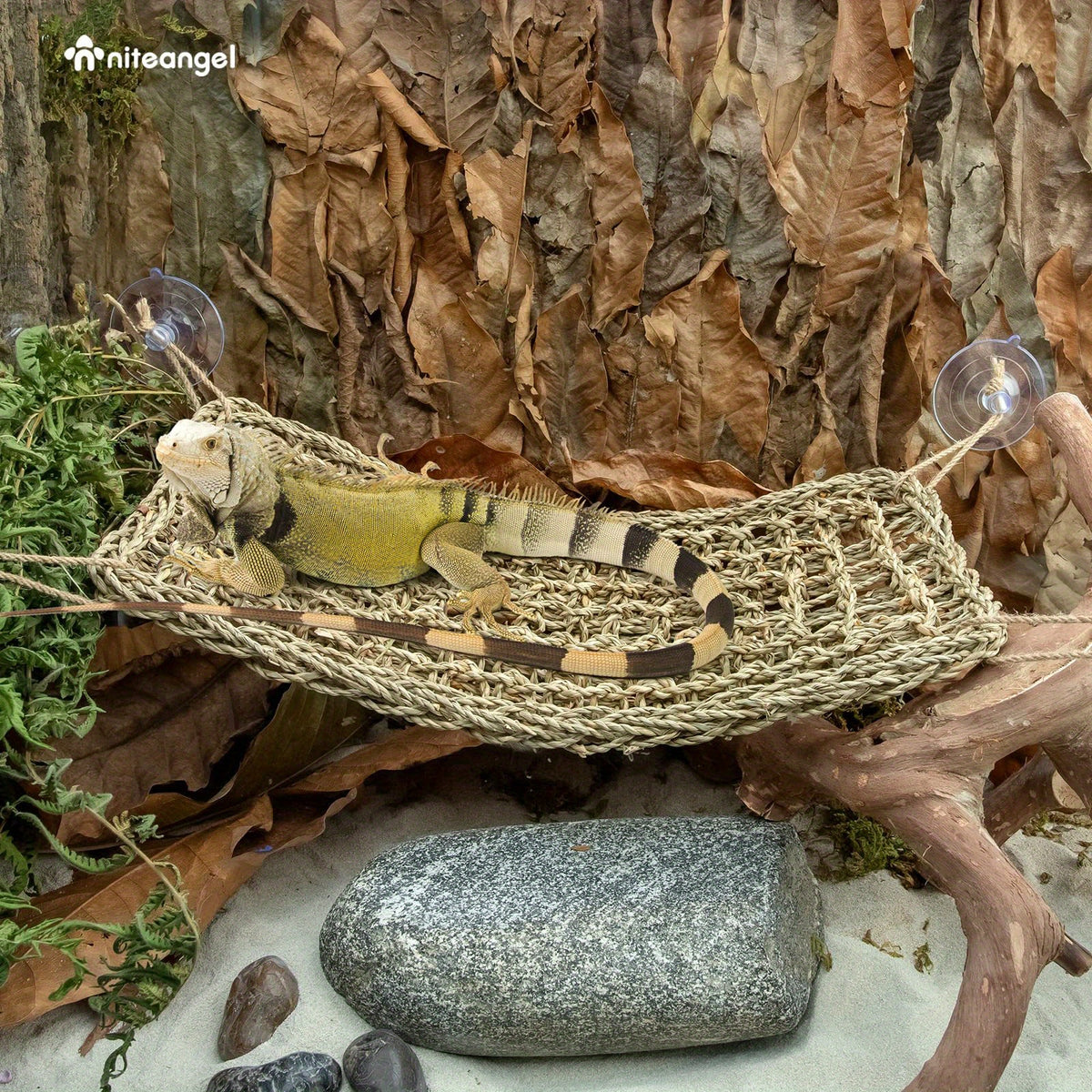 Reptile Hammock for Bearded Dragons & Lizards, Large Hanging Lizard Lounger for Terrarium Resting Areas and Habitat Accessories, 1pc