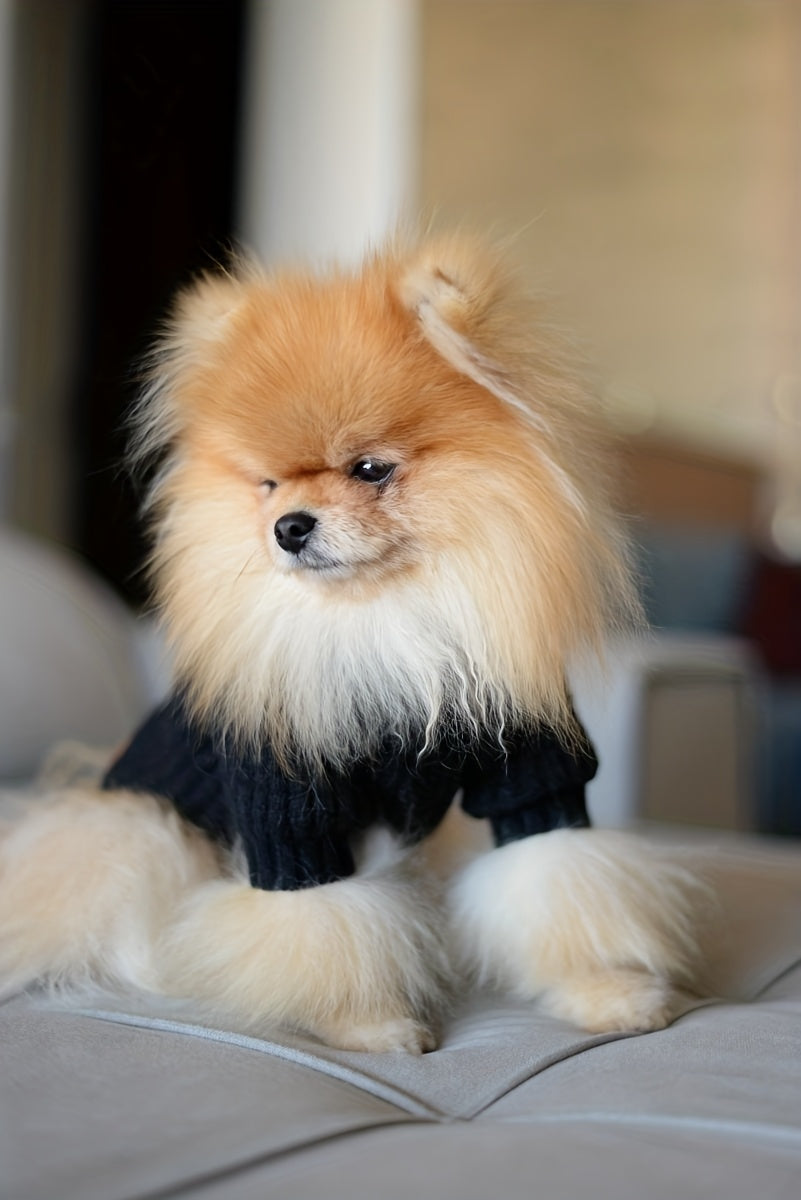 Black High Neck Pet Sweater with Ribbed Cuffs and Snap Buttons, Polyester Clothing for Dogs and Cats, XS M L XL XXL Options for Cool Weather
