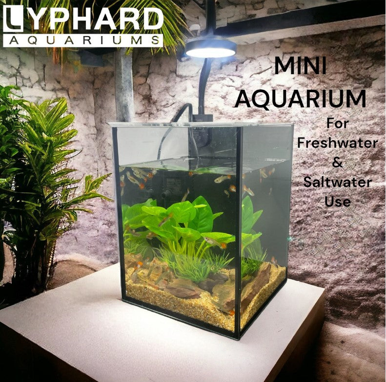 Mini Aquarium Kit 1.19 Gallon, Ultra-Clear Glass Desktop Tank with 2W Submersible Pump, 3W COB Light, Sand, Stones and Decorative Plants
