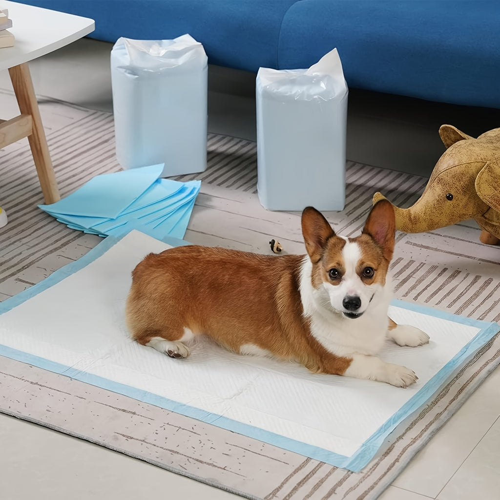 Puppy Pee Pads 23.6 x 23.6 Inch, Bulk Absorbent Dog Potty Training Pads in 200, 300 or 400 Count Packs for Indoor Housebreaking Routines