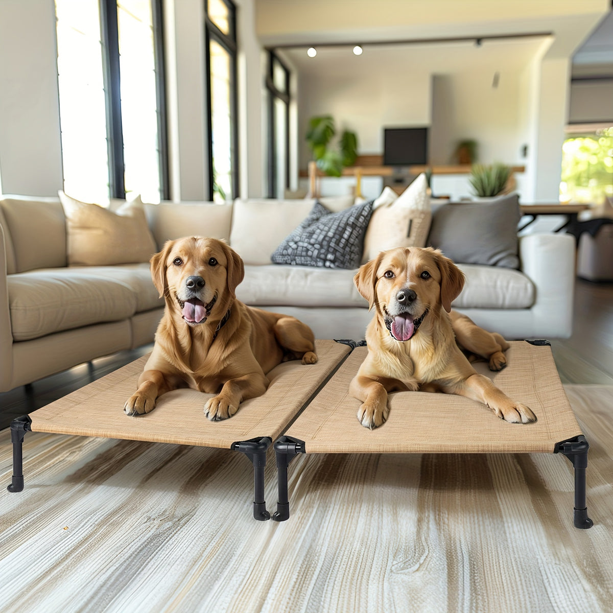 Elevated Dog Bed 2 Pack for Large Dogs, 42 x 30 Inch Breathable Mesh Raised Cots with Non-Slip Feet, Tool-Free Assembly for Indoor, Patio and Camping