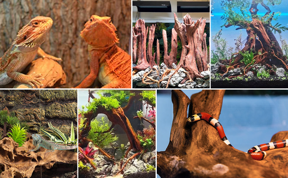 Aquarium Driftwood 2-Pack, 9-14 Inch Natural Wood Branches for Fish Tank Aquascaping, Reptile Terrarium Decor and Habitat Layouts