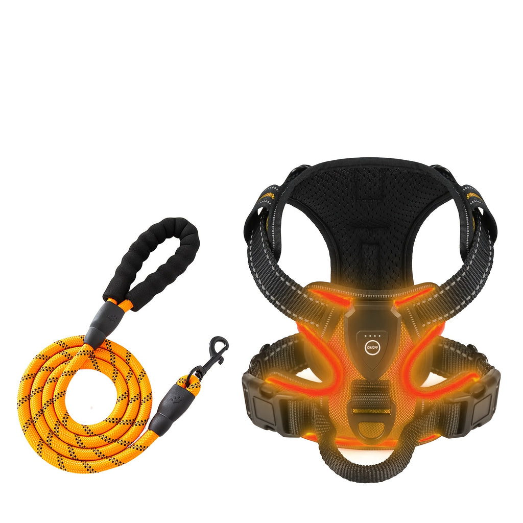 Light Up Dog Harness, Rechargeable LED Night Walking Vest with 3 Lighting Modes, Reflective Strips, Padded Mesh and Adjustable Straps, M L XL