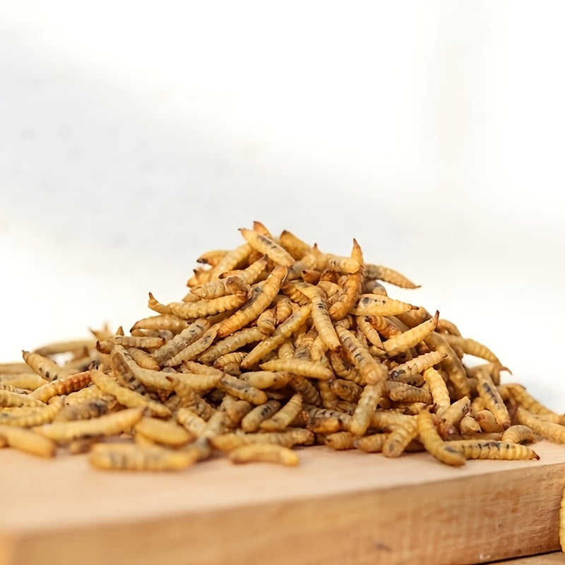 Dried BSFL Chicken Treats, Black Soldier Fly Larvae in 3.5 to 14 oz Packs for Backyard Poultry Snacks, Duck Feeding and Wild Bird Feeders