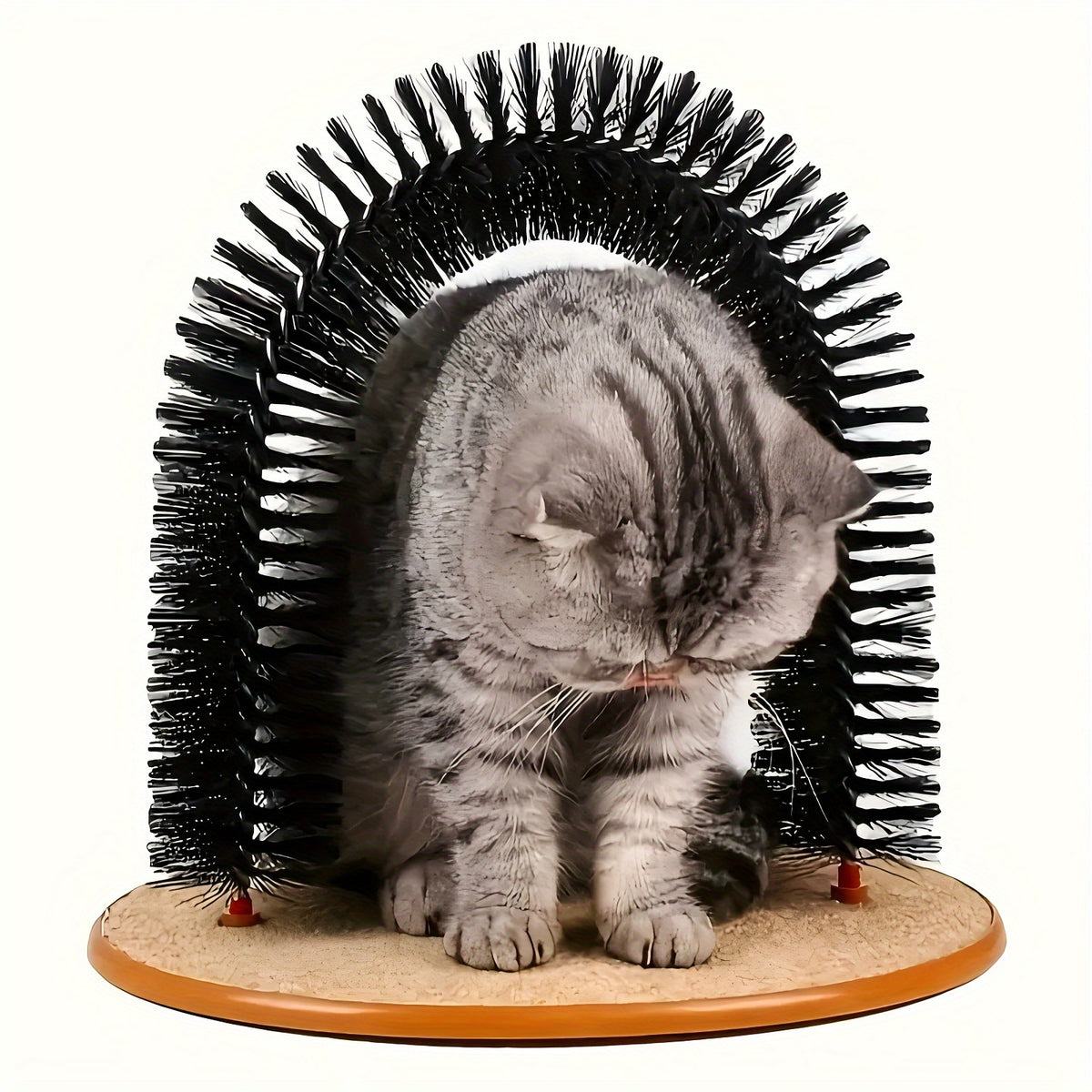 Self Grooming Cat Toy with Arch and Scratching Board, Interactive Rubbing and Massage Station for Kittens and Everyday Indoor Cat Play