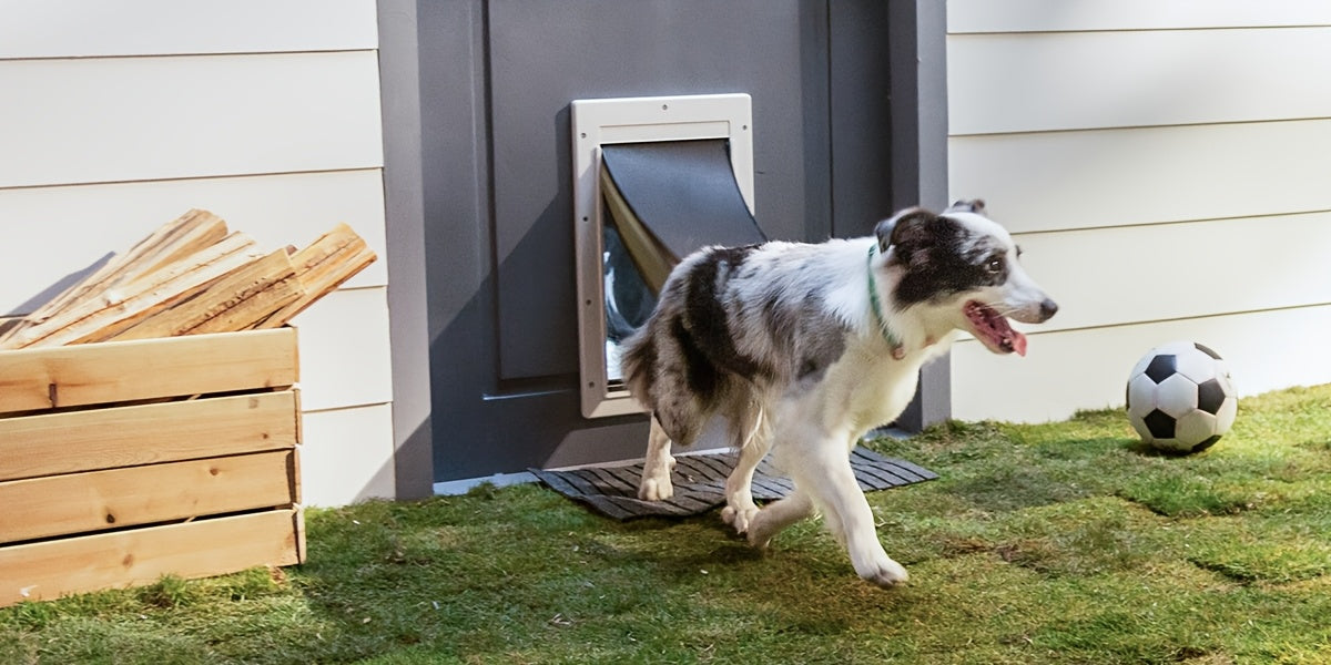 Dog Door with Double Magnetic Flaps and Closing Panel, Black Reinforced Polymer Pet Entry for Interior or Exterior Doors and Compatible Wall Installations
