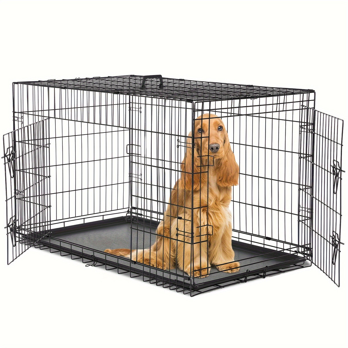 Wire Dog Crate in Black with Divider Panel and Removable Tray, Foldable Metal Pet Kennel with Carry Handle and Six Size Options for Home Training