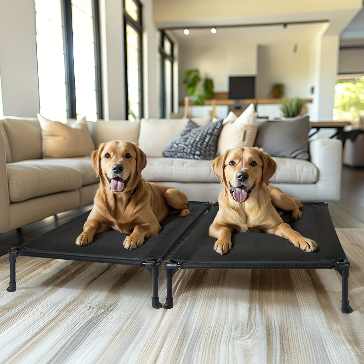 Elevated Dog Bed 2 Pack for Large Dogs, 42 x 30 Inch Breathable Mesh Raised Cots with Non-Slip Feet, Tool-Free Assembly for Indoor, Patio and Camping