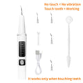 Pet Teeth Cleaning Kit for Cats and Dogs, USB Rechargeable Electric Tooth Cleaner with 4 Cleaning Heads and 5 Modes, Stain and Tartar Remover for At-Home Pet Dental Care, Quiet Low Noise Design
