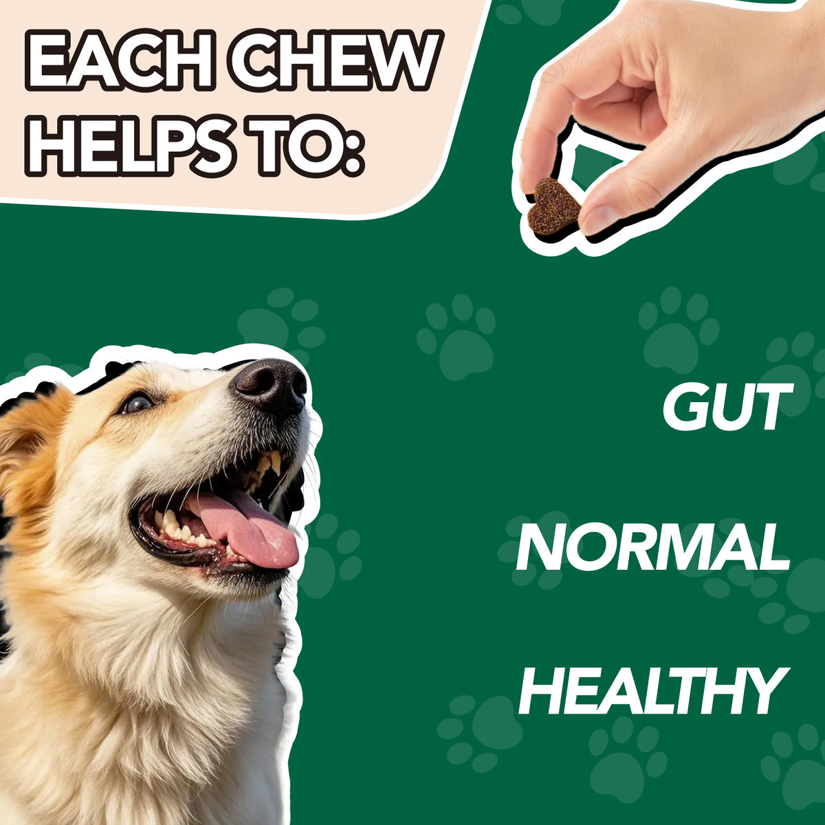 Dog Supplement Chews in Chicken Flavor, Skin Calm Care and Probiotic Formula Listing for Canine Skin and Gut Wellness Routines, 1pc Option
