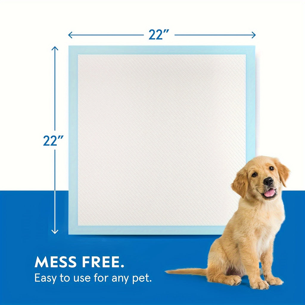 22 x 22 Inch Puppy Pee Pads, 50 Count Disposable Absorbent Dog Potty Training Pads with Blue Border for Indoor Housebreaking and Daily Cleanup
