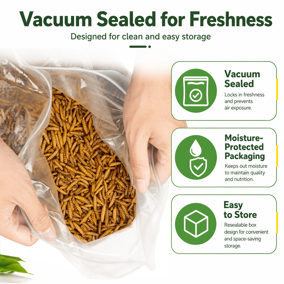 Dried BSFL Grubs for Chickens, Black Soldier Fly Larvae Treats with 46% Protein and 6% Calcium for Hens, Ducks and Birds, 2, 5 or 10 lb