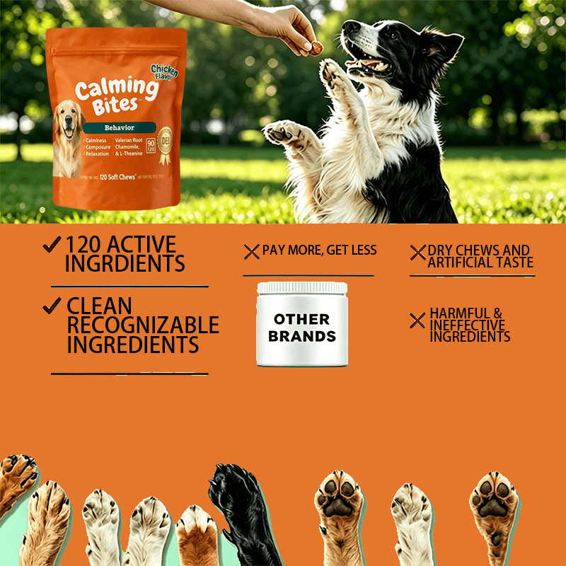 Chicken Flavor Calming Soft Chews for Dogs and Cats, Pouch-Style Pet Supplement with Chewable Format for Owner-Managed Wellness Routines